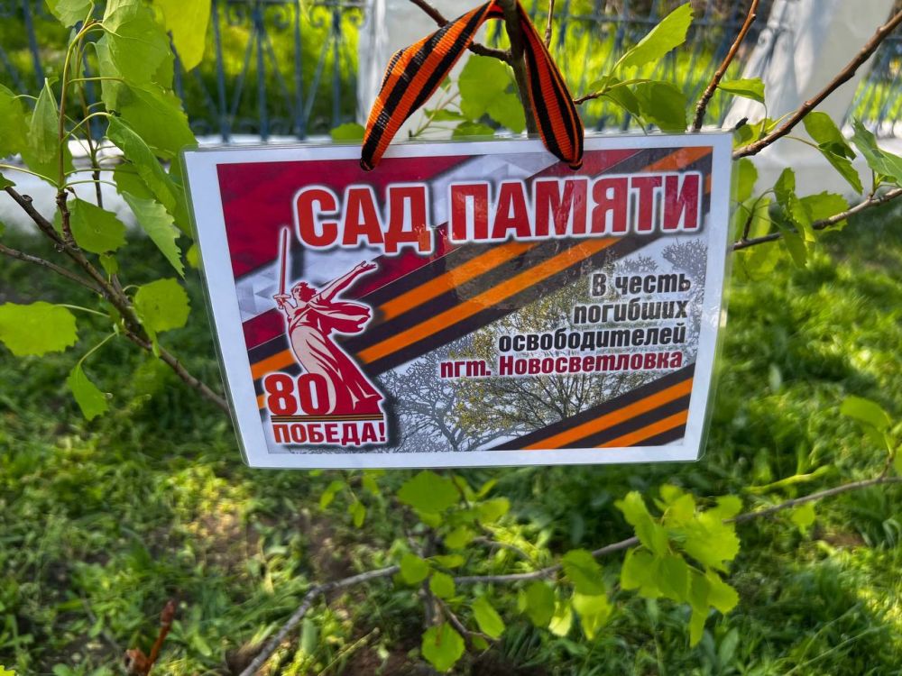 Населенные пункты Краснодонщины приняли участие в акции «Сад памяти» Населенные пункты Краснодонщины приняли участие в акции «Сад памяти»