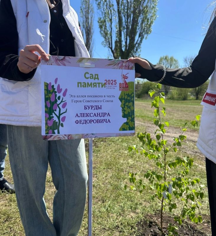 В Ровеньковской школе №3, в рамках Года Защитника Отечества и в преддверии 80-летия Великой Победы, юные активисты "Движения Первых" с особым трепетом присоединились к Международной акции "Сад памяти" В Ровеньковской школе №3, в рамках Года Защитника Отечества и в преддверии 80-летия Великой Победы, юные активисты "Движения Первых" с особым трепетом присоединились к Международной акции "Сад памяти"