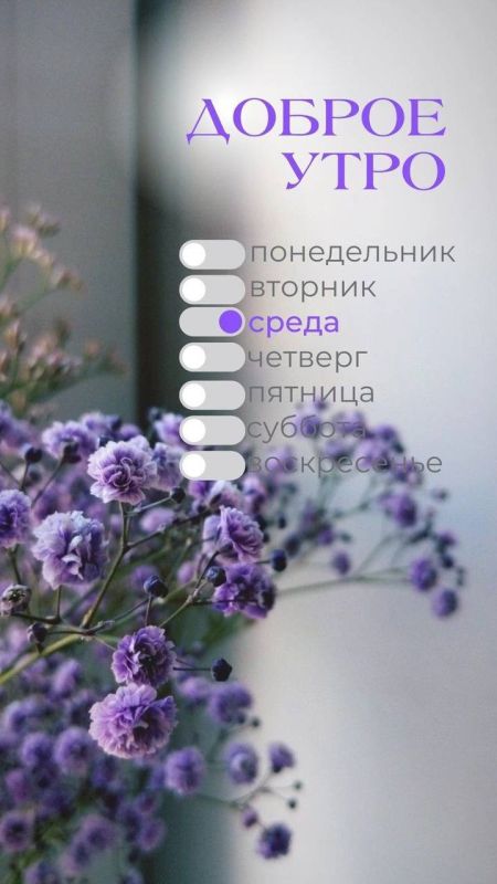   :