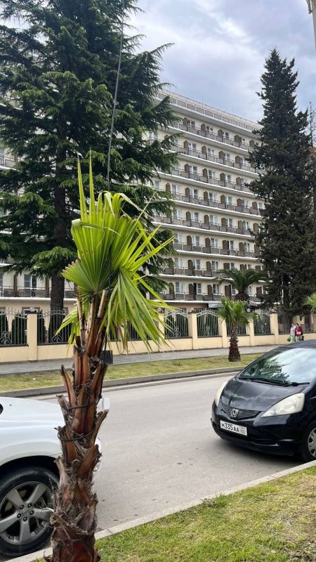 г. Гагра. Абхазия г. Гагра. Абхазия