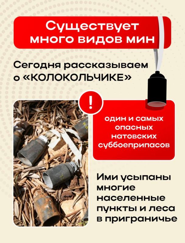 Инна Швенк: ОСТОРОЖНО - МИНЫ! . Уважаемое родители! Инна Швенк: ОСТОРОЖНО - МИНЫ! . Уважаемое родители!