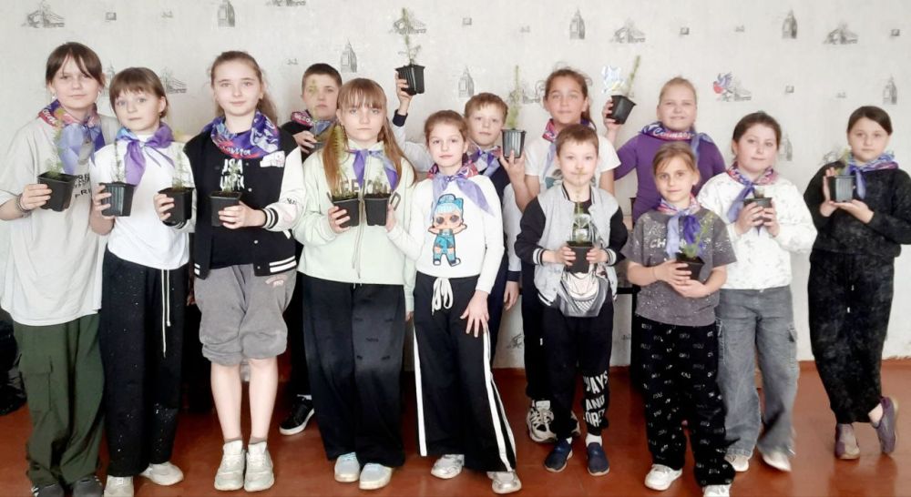 Вологодские елки приживаются на школьных дворах Алчевска Вологодские елки приживаются на школьных дворах Алчевска