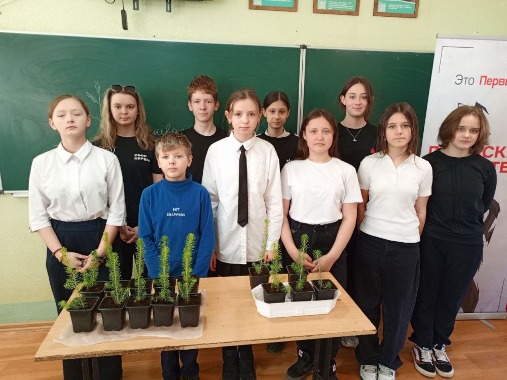 Вологодские елки приживаются на школьных дворах Алчевска Вологодские елки приживаются на школьных дворах Алчевска
