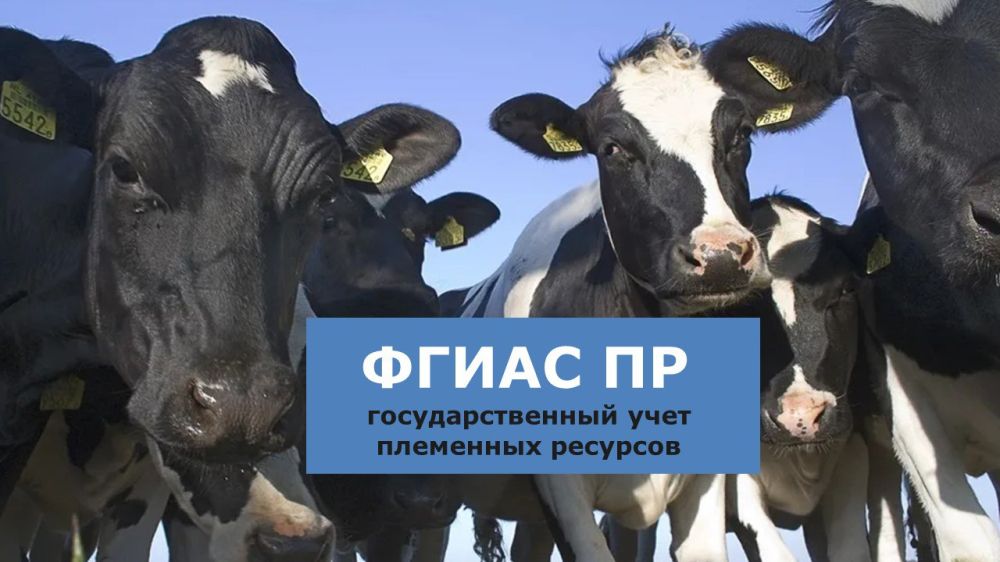 Итоги недели в Новопсковском муниципальном округе (28.04 - 04.05.2025): Итоги недели в Новопсковском муниципальном округе (28.04 - 04.05.2025):