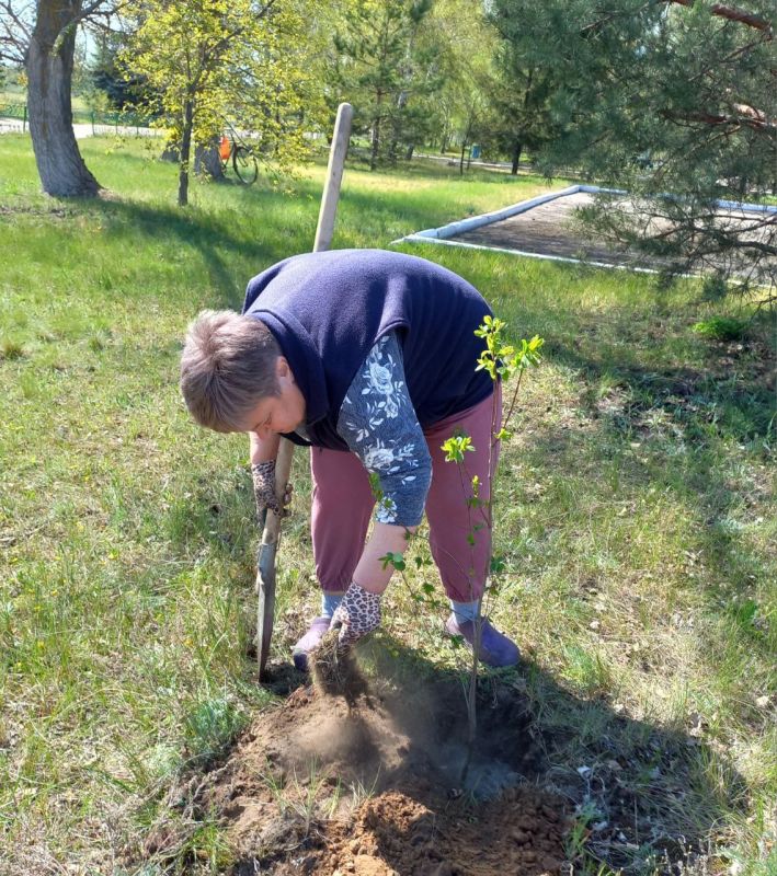 Итоги недели в Новопсковском муниципальном округе (28.04 - 04.05.2025): Итоги недели в Новопсковском муниципальном округе (28.04 - 04.05.2025):