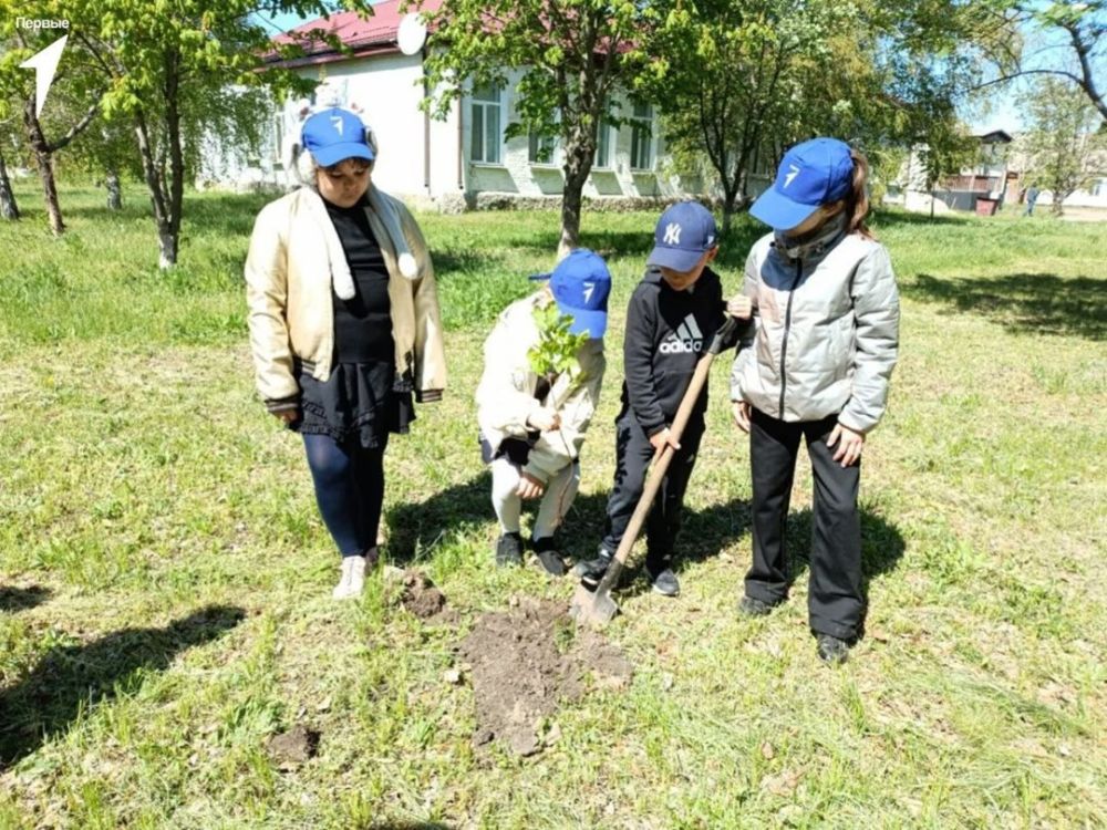 Деревья в память о Героях: Движение Первых в Новопсковском муниципальном округе высаживает Сад Памяти! Деревья в память о Героях: Движение Первых в Новопсковском муниципальном округе высаживает Сад Памяти!