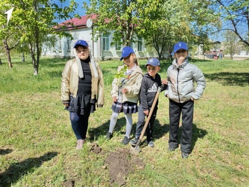 Деревья в память о Героях: Движение Первых в Новопсковском муниципальном округе высаживает Сад Памяти! Деревья в память о Героях: Движение Первых в Новопсковском муниципальном округе высаживает Сад Памяти!