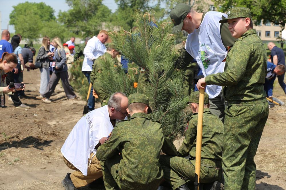 Руководитель регионального МВД Алексей Кампф присоединился к Международной акции «Сад памяти» Руководитель регионального МВД Алексей Кампф присоединился к Международной акции «Сад памяти»