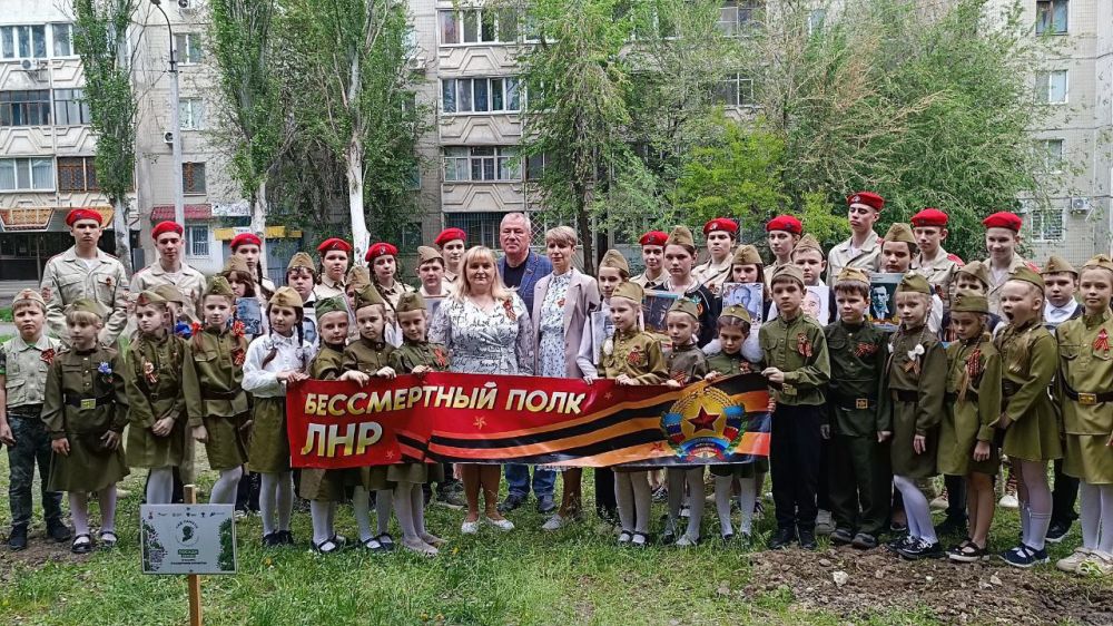 «Историческая память»: В Луганской гимназии №52 высадили «Сад памяти» «Историческая память»: В Луганской гимназии №52 высадили «Сад памяти»