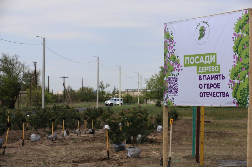 Руководитель регионального МВД Алексей Кампф присоединился к Международной акции «Сад памяти» Руководитель регионального МВД Алексей Кампф присоединился к Международной акции «Сад памяти»