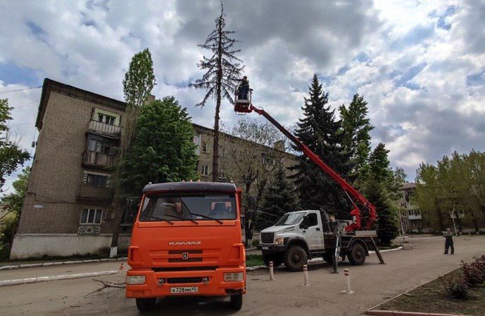 В Молодогвардейске выполнили работы по обрезке дерева В Молодогвардейске выполнили работы по обрезке дерева