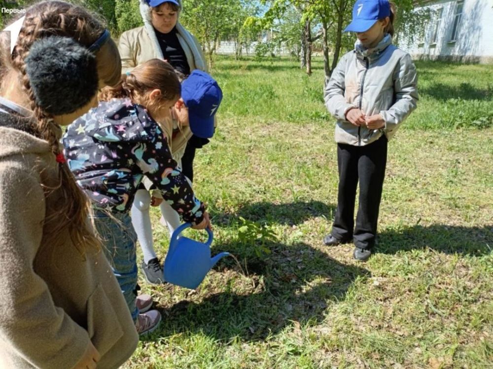 Деревья в память о Героях: Движение Первых в Новопсковском муниципальном округе высаживает Сад Памяти! Деревья в память о Героях: Движение Первых в Новопсковском муниципальном округе высаживает Сад Памяти!