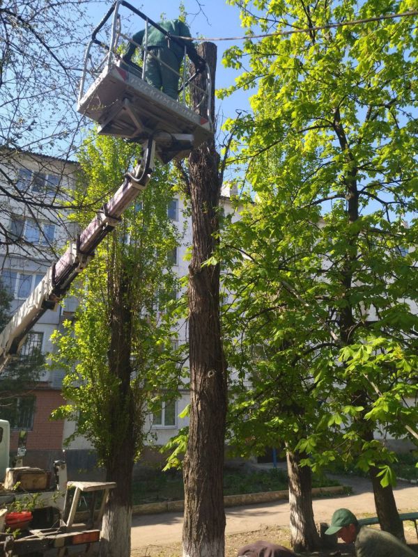 Работники МУП "Антрацитовское зеленое хозяйство" продолжают преображать наш любимый город, вкладывая в благоустройство все свои силы, умения и заботу Работники МУП "Антрацитовское зеленое хозяйство" продолжают преображать наш любимый город, вкладывая в благоустройство все свои силы, умения и заботу