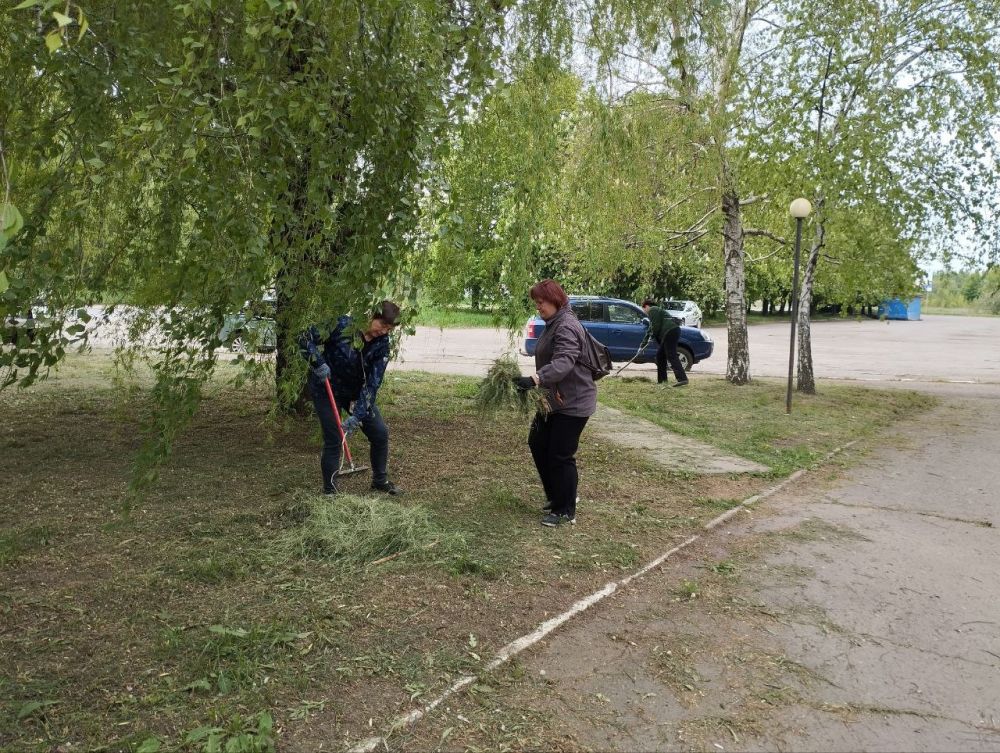 Впреддверии Дня Победы в Красном Луче прошёл субботник Впреддверии Дня Победы в Красном Луче прошёл субботник