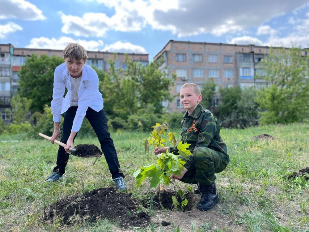 Сад памяти: в честь героев, во имя будущего Сад памяти: в честь героев, во имя будущего