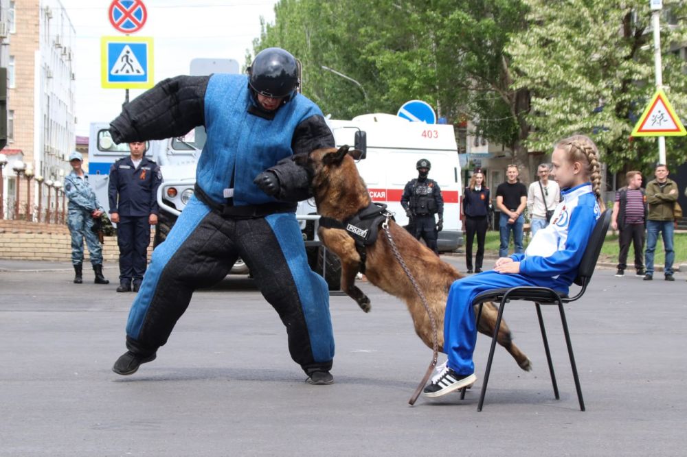 Присяга, память и традиции Присяга, память и традиции