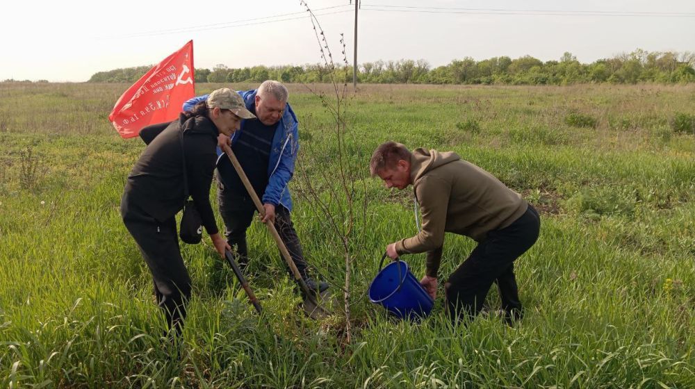Сад памяти: в честь героев, во имя будущего Сад памяти: в честь героев, во имя будущего