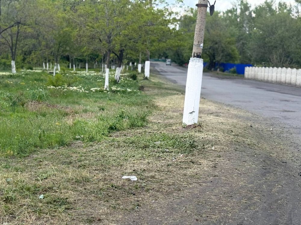 Андрей Рубанцов: Борьба с травой в нашем городском округе продолжается! Андрей Рубанцов: Борьба с травой в нашем городском округе продолжается!