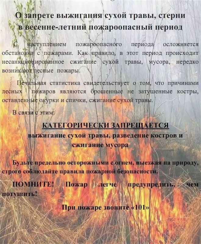 Статьей 28 Закона Российской Федерации «О занятости населения в Российской Федерации» от 12 Статьей 28 Закона Российской Федерации «О занятости населения в Российской Федерации» от 12