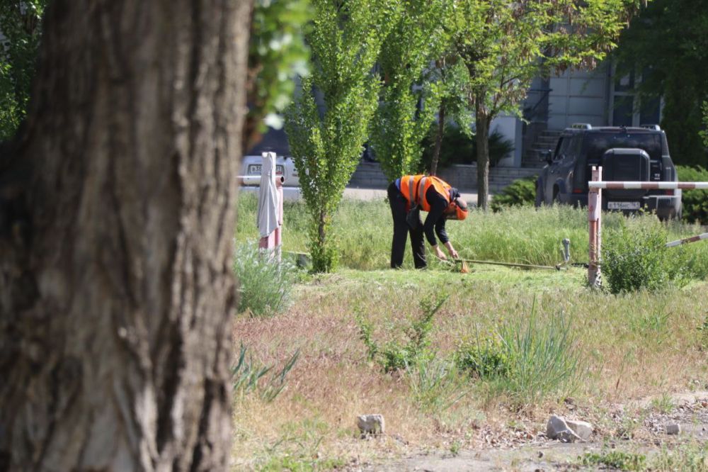 В Северодонецке в рамках благоустройства города проводятся кронирование деревьев и покос травы В Северодонецке в рамках благоустройства города проводятся кронирование деревьев и покос травы