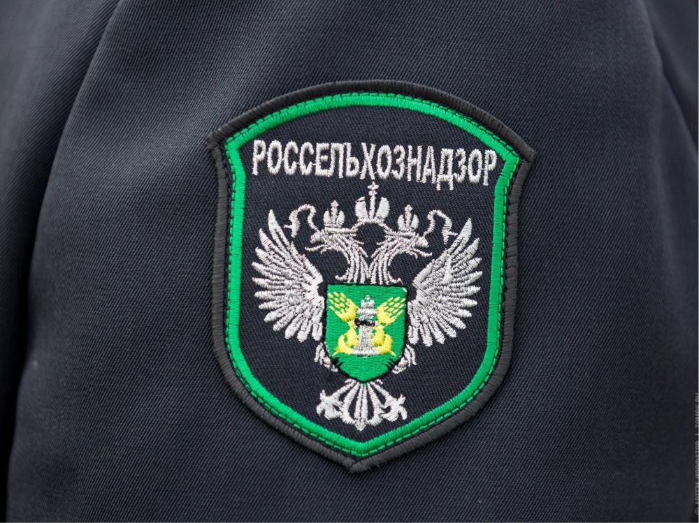 Специалистом отдела по вопросам опеки, попечительства и патронажа Администрации городского округа муниципальное образование городской округ город Ровеньки Луганской Народной Республики проведена проверка условий жизни и... Специалистом отдела по вопросам опеки, попечительства и патронажа Администрации городского округа муниципальное образование городской округ город Ровеньки Луганской Народной Республики проведена проверка условий жизни и...