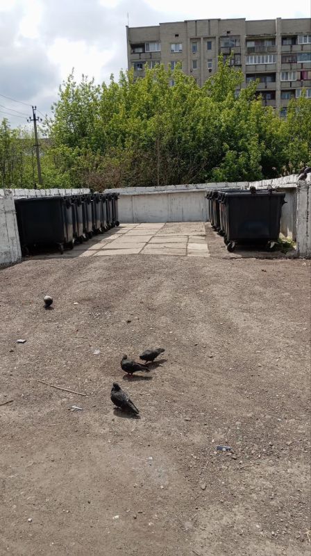 Виктория Сергеева: Коммунальщики в действии. Коммунальные службы городского округа продолжают покос травы, а также спил и обрезку аварийных деревьев Виктория Сергеева: Коммунальщики в действии. Коммунальные службы городского округа продолжают покос травы, а также спил и обрезку аварийных деревьев