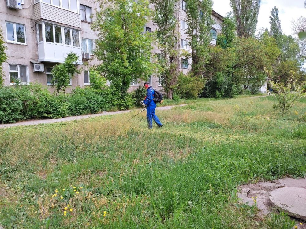 В Стаханове продолжаются работы по наведению чистоты и благоустройству городских территорий В Стаханове продолжаются работы по наведению чистоты и благоустройству городских территорий