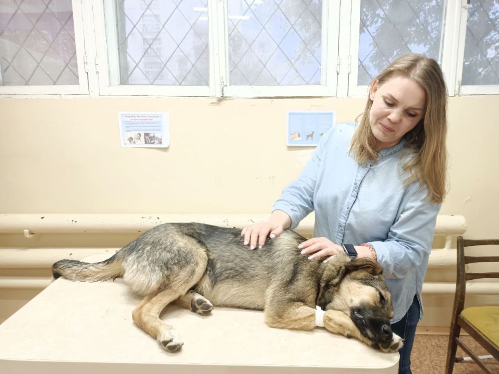 Волонтерство это не только субботники, высадки деревьев и помощь людям Волонтерство это не только субботники, высадки деревьев и помощь людям