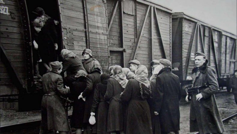 ОБЗОР ПРЕССЫ «ДОНБАСС ВОСТОЧНЫЙ»: История семьи - как история всей войны ОБЗОР ПРЕССЫ «ДОНБАСС ВОСТОЧНЫЙ»: История семьи - как история всей войны