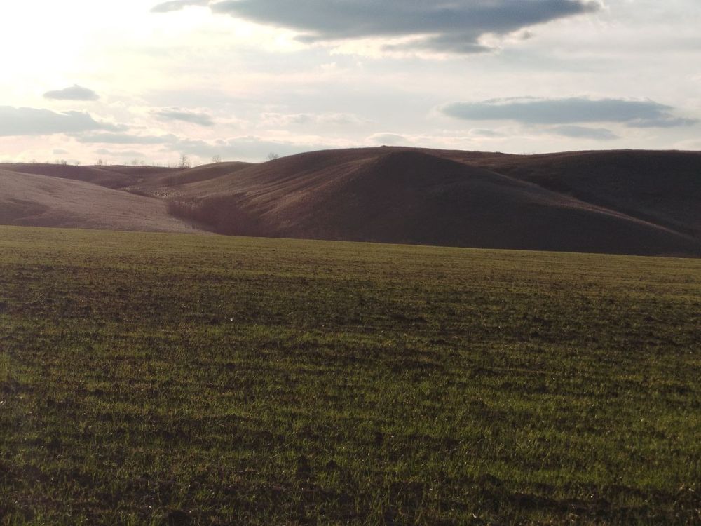 Посевная кампания яровых культур под урожай 2025 года продолжается Посевная кампания яровых культур под урожай 2025 года продолжается