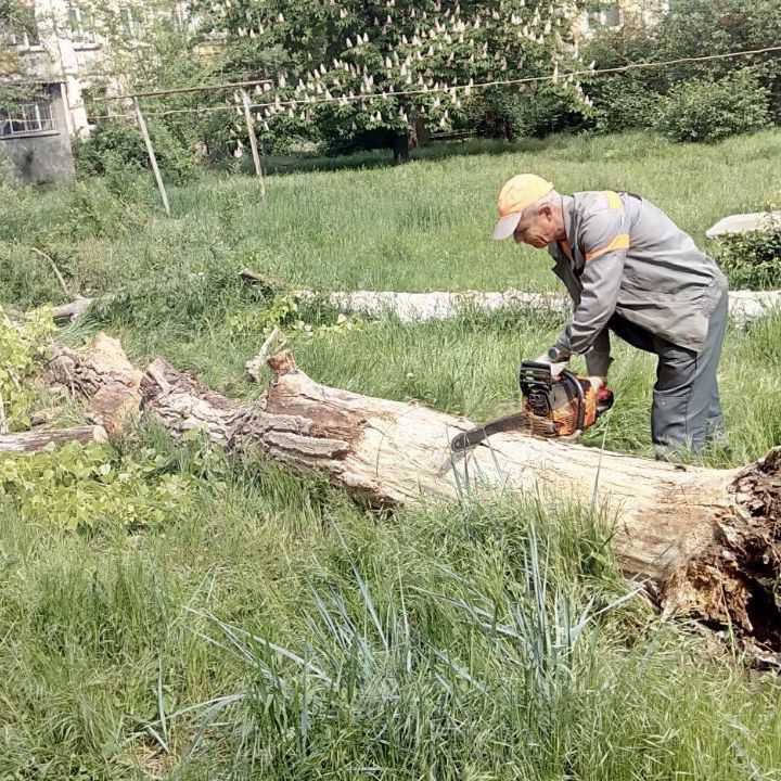 Нередко после шквальных и ураганных ветров мы видим на улицах поваленные деревья и обломанные ветви Нередко после шквальных и ураганных ветров мы видим на улицах поваленные деревья и обломанные ветви