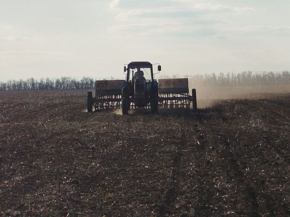 Посевная кампания яровых культур под урожай 2025 года продолжается Посевная кампания яровых культур под урожай 2025 года продолжается