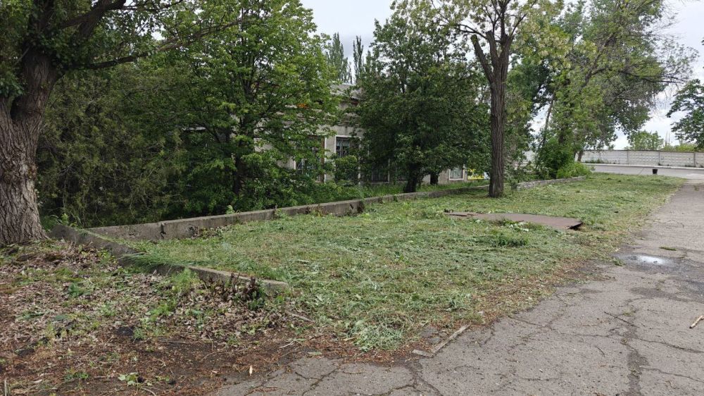 Виктория Сергеева: Коммунальщики в действии. Коммунальные предприятия городского округа продолжают покос травы, а также спил и обрезку аварийных деревьев Виктория Сергеева: Коммунальщики в действии. Коммунальные предприятия городского округа продолжают покос травы, а также спил и обрезку аварийных деревьев