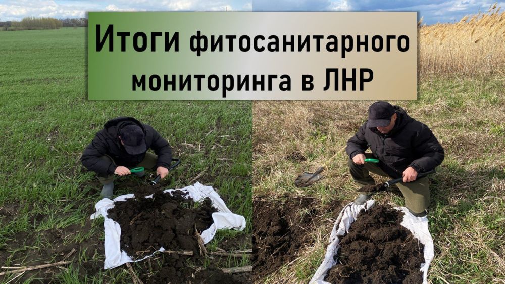 Мониторинг и защита сельскохозяйственных угодий: отчет о работе в рамках поручения Минсельхоза России