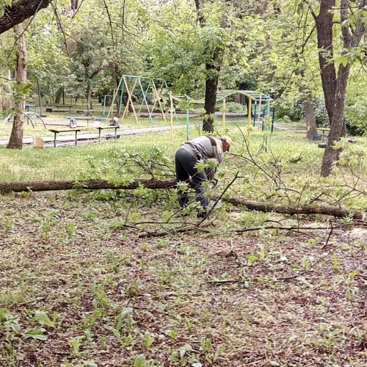 В связи с неблагоприятными погодными условиями, а именно 19.05.2025 утром и днем местами прошли сильные дожди в сочетании с грозой и усилением ветра 17-22 м/с, произошли обрушения деревьев и веток В связи с неблагоприятными погодными условиями, а именно 19.05.2025 утром и днем местами прошли сильные дожди в сочетании с грозой и усилением ветра 17-22 м/с, произошли обрушения деревьев и веток