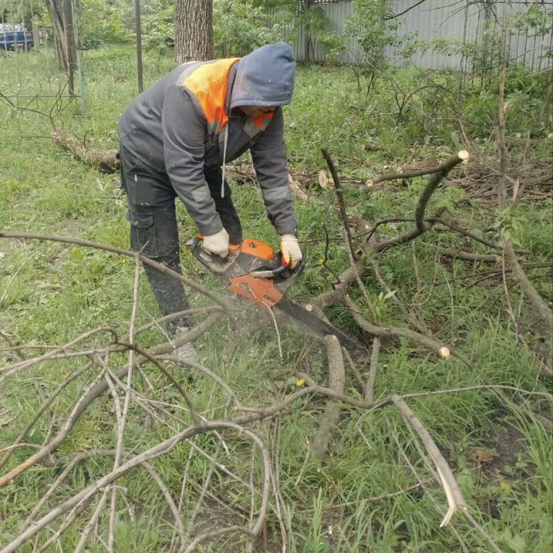 В связи с неблагоприятными погодными условиями, а именно 19.05.2025 утром и днем местами прошли сильные дожди в сочетании с грозой и усилением ветра 17-22 м/с, произошли обрушения деревьев и веток В связи с неблагоприятными погодными условиями, а именно 19.05.2025 утром и днем местами прошли сильные дожди в сочетании с грозой и усилением ветра 17-22 м/с, произошли обрушения деревьев и веток