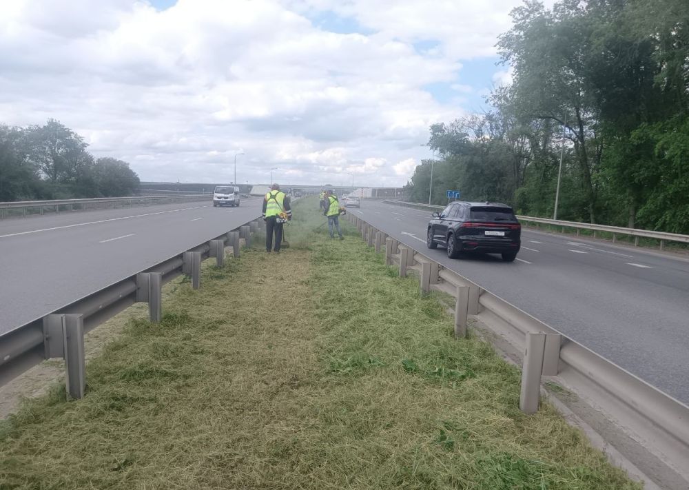 Покос травы начался: стало видно лучше и безопаснее Покос травы начался: стало видно лучше и безопаснее