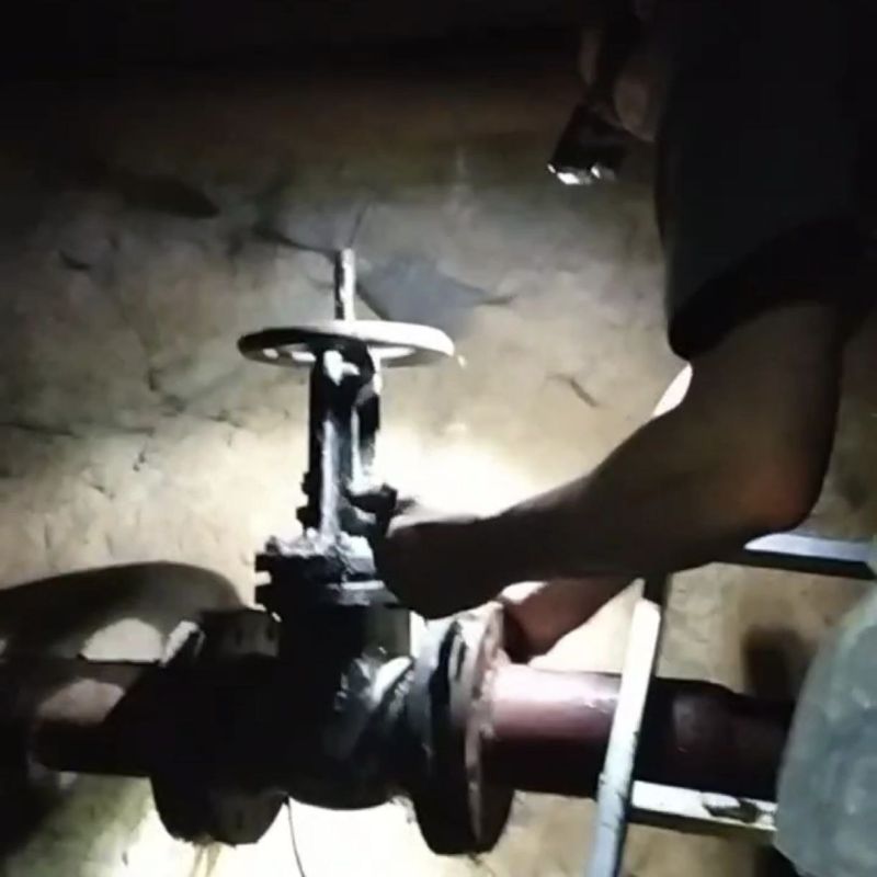           ,   