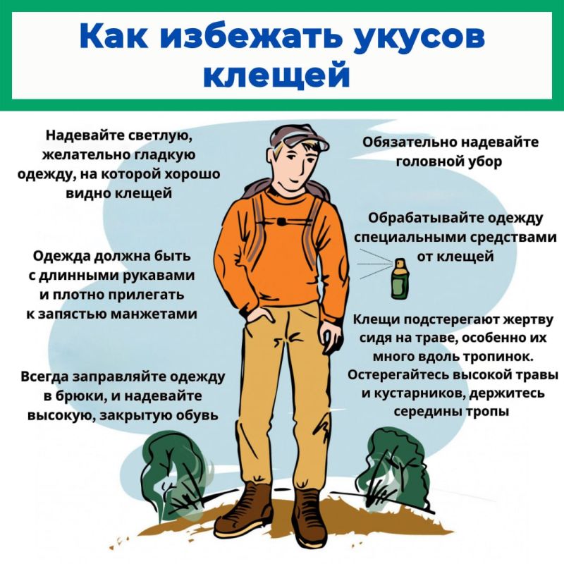 Иксодовые клещи обитают по всей лесной и лесостепной умеренной климатической зоне Иксодовые клещи обитают по всей лесной и лесостепной умеренной климатической зоне