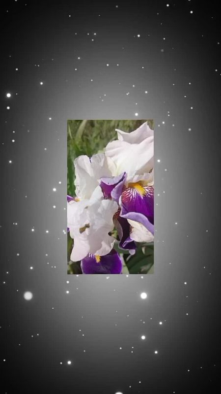 Прогноз погоды на 22 мая в ЛНР