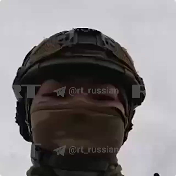 &quot;,   &quot;:   