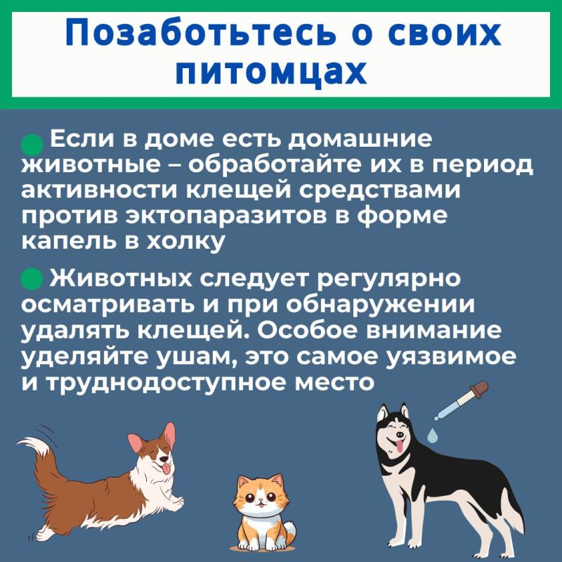 Иксодовые клещи обитают по всей лесной и лесостепной умеренной климатической зоне Иксодовые клещи обитают по всей лесной и лесостепной умеренной климатической зоне