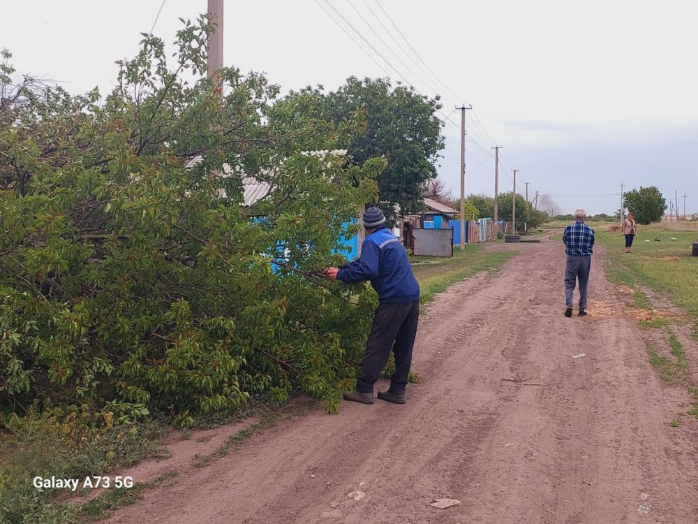 Обрезка деревьев для повышения надежности электроснабжения Обрезка деревьев для повышения надежности электроснабжения