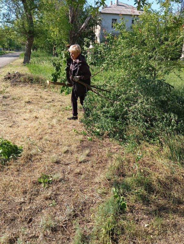 Виктория Сергеева: Коммунальщики в действии. Коммунальные предприятия городского округа продолжают покос травы, а также спил и обрезку аварийных деревьев Виктория Сергеева: Коммунальщики в действии. Коммунальные предприятия городского округа продолжают покос травы, а также спил и обрезку аварийных деревьев