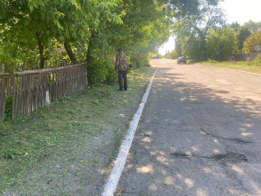 Борьба с травой продолжается! Борьба с травой продолжается!