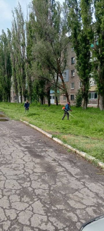 Виктория Сергеева: Коммунальщики в действии. Коммунальные предприятия городского округа продолжают покос травы, а также спил и обрезку аварийных деревьев Виктория Сергеева: Коммунальщики в действии. Коммунальные предприятия городского округа продолжают покос травы, а также спил и обрезку аварийных деревьев