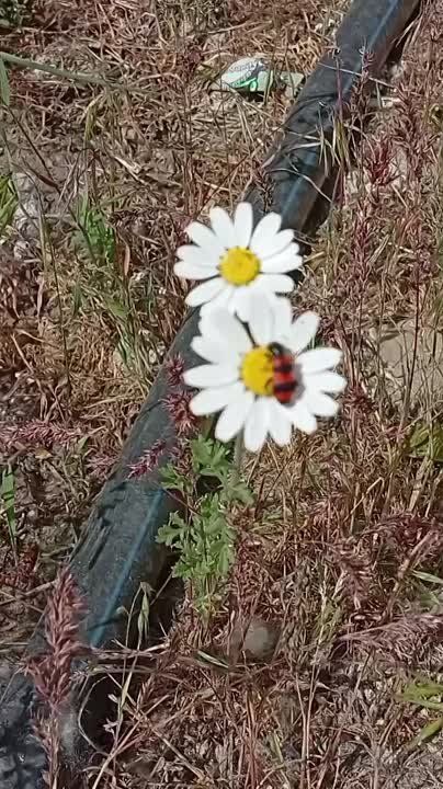 Прогноз погоды на 23 мая в Луганске и ЛНР