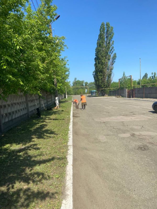 Борьба с травой продолжается! Борьба с травой продолжается!