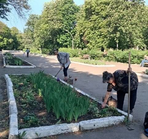 Коммунальные службы проводят работы на территории города Коммунальные службы проводят работы на территории города