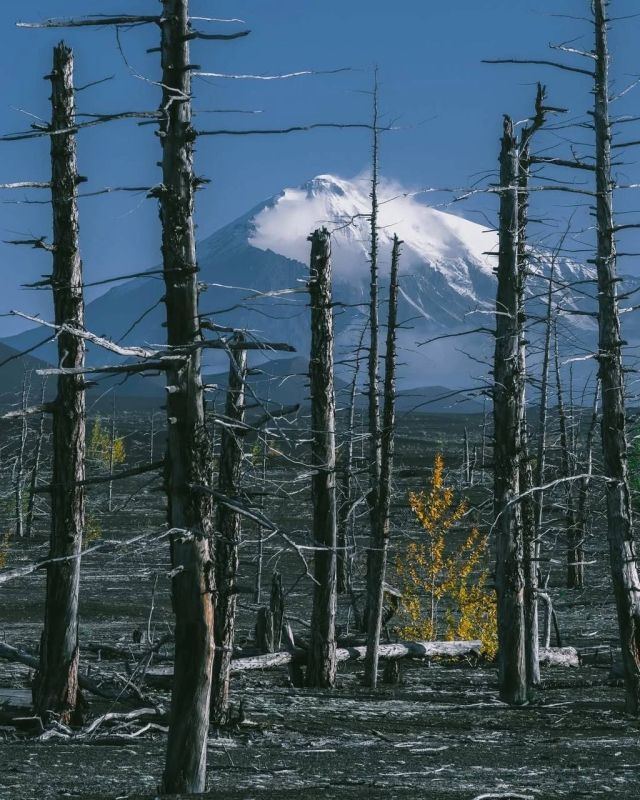 Добро пожаловать на Камчатку — край вулканов и захватывающих приключений! Добро пожаловать на Камчатку — край вулканов и захватывающих приключений!